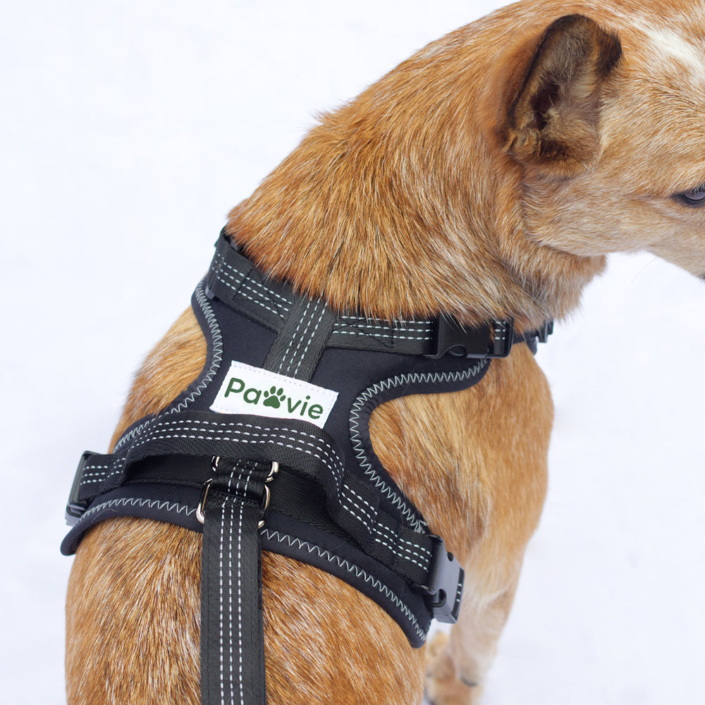 Pawvie™ Orthopedic Dual-Hinge Knee Brace
