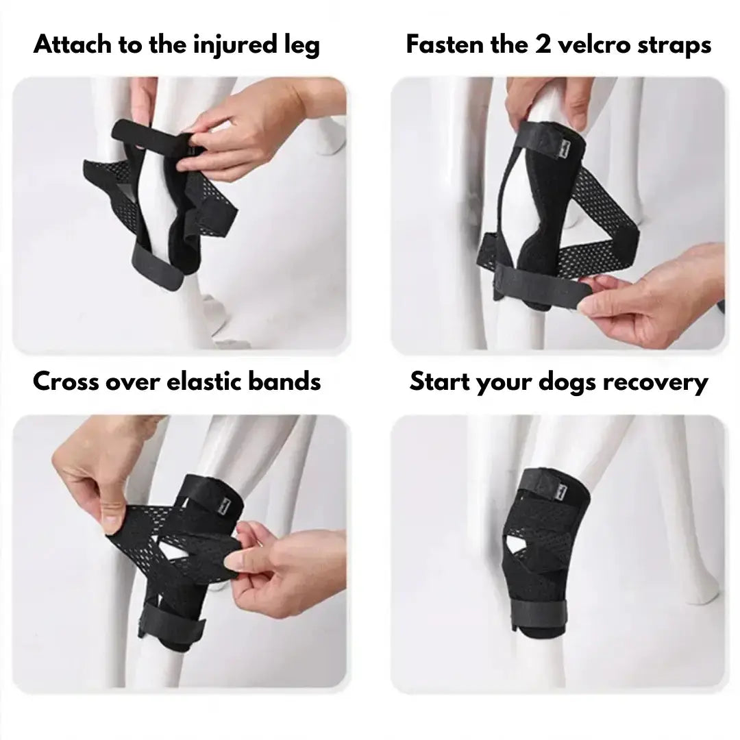 Hock/Elbow Support Brace