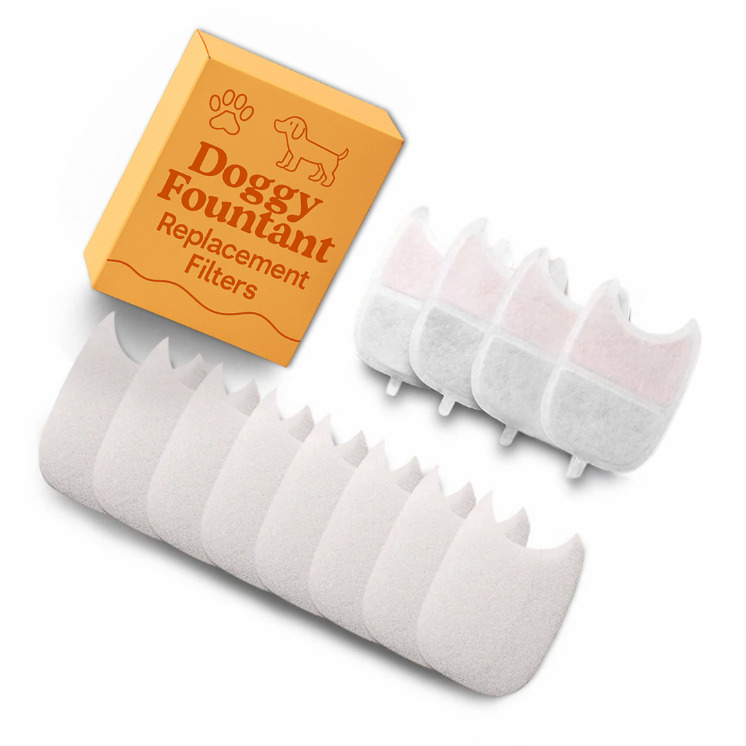 Filter Pack Subscription - 40% OFF