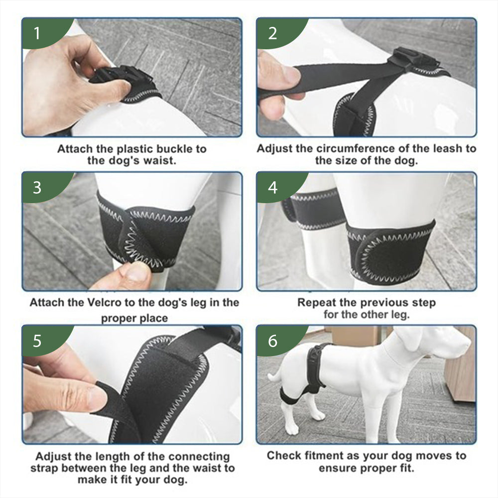 Pawvie™ Hip Brace Belt For Dogs