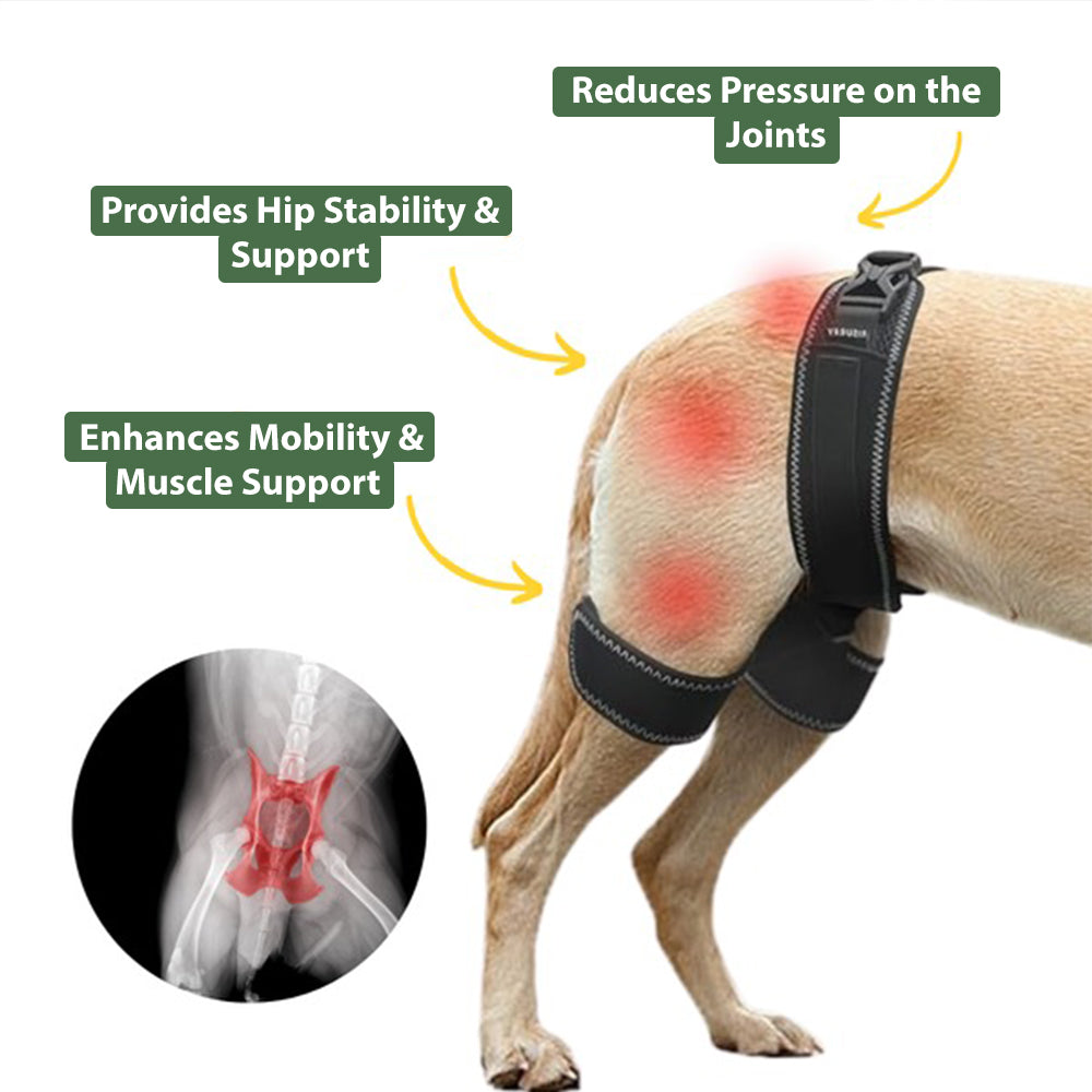 Pawvie™ Hip Brace Belt For Dogs