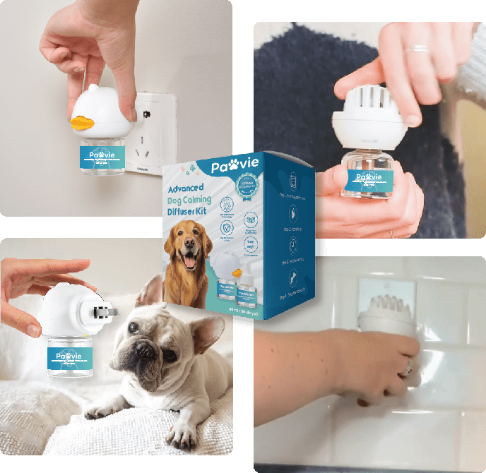 Dogs Calming Diffuser Kit