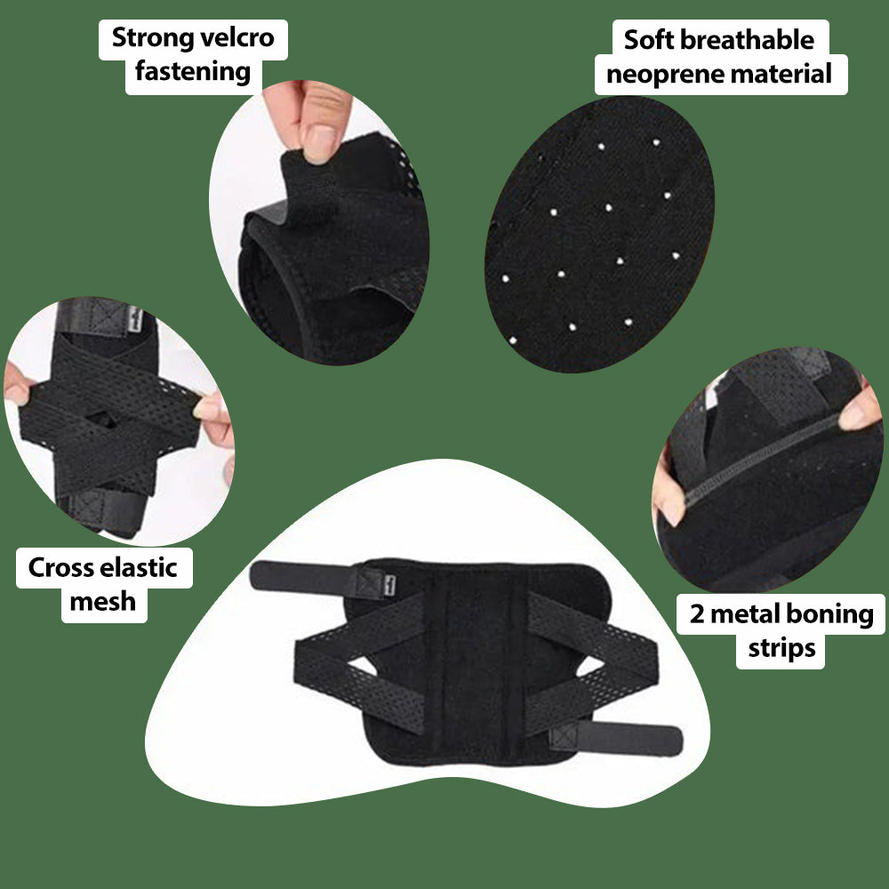 Pawvie™ Hock/Elbow Support Brace