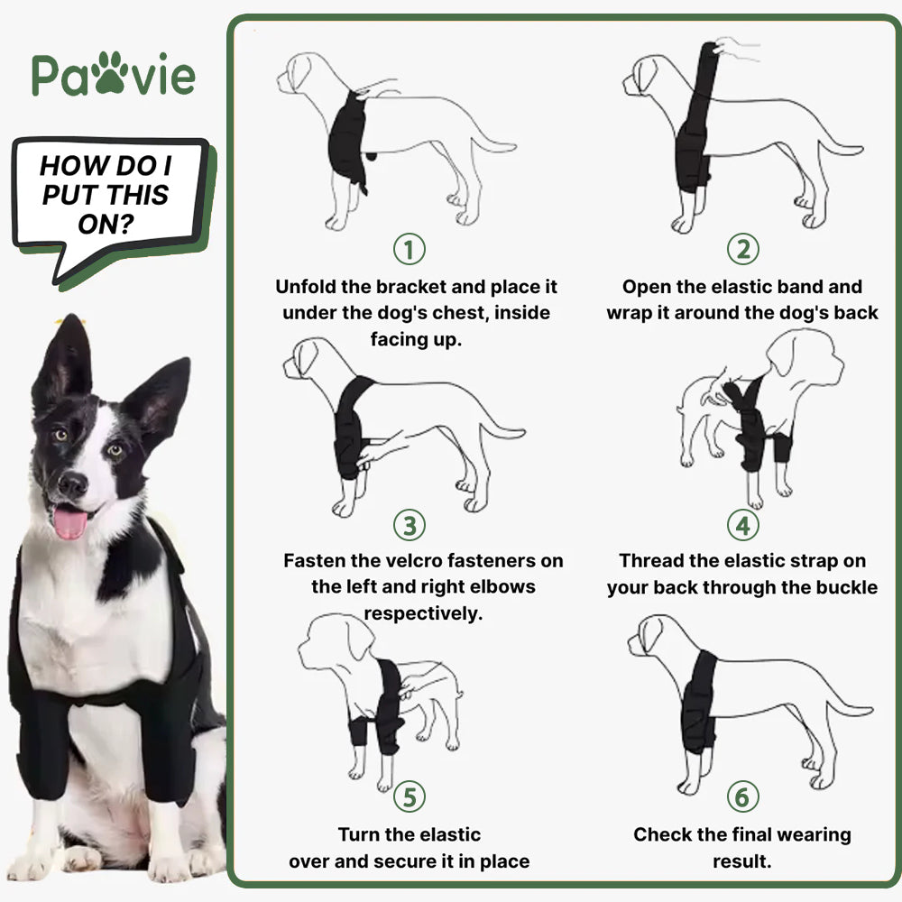 Pawvie™ Dog Front Shoulder/Elbow Support Brace