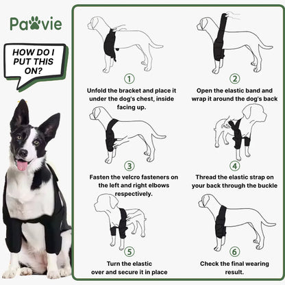 Pawvie™ Dog Front Shoulder/Elbow Support Brace