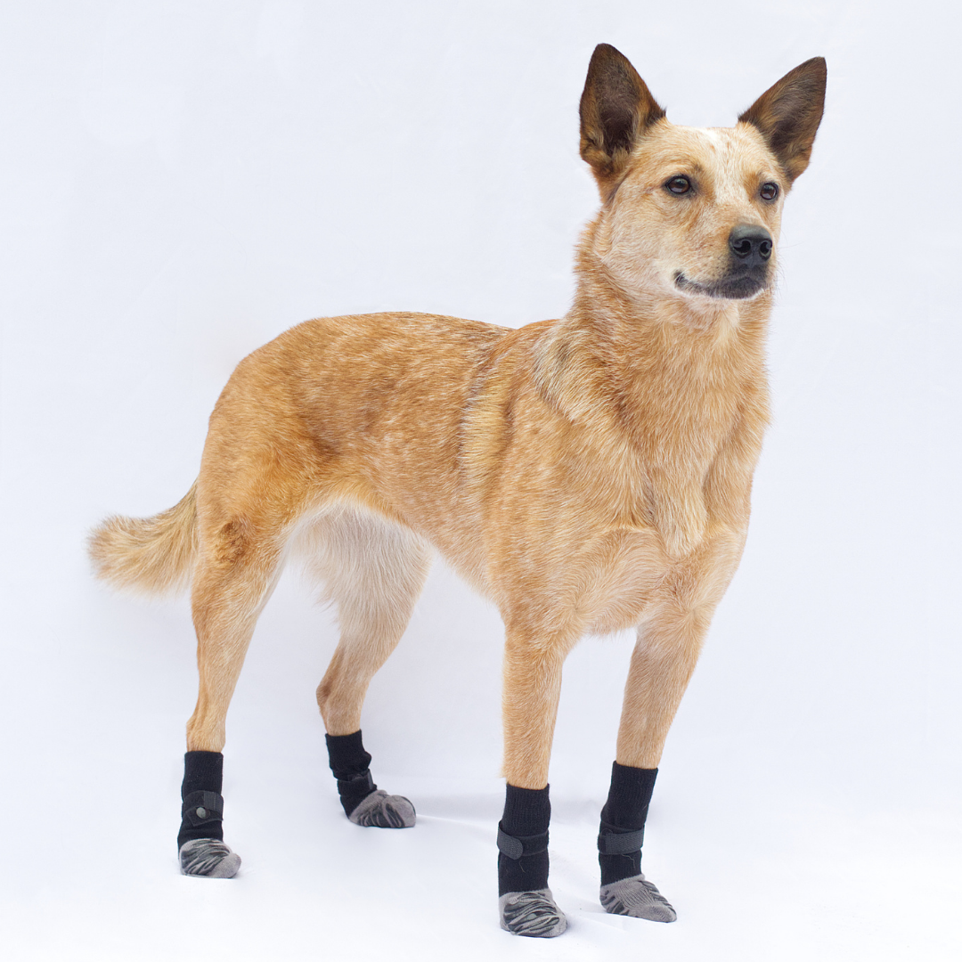 Pawvie™ Anti-Slip Socks for Enhanced Stability