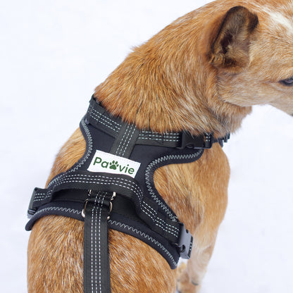 Pawvie™ Orthopedic Dual-Hinge Knee Brace
