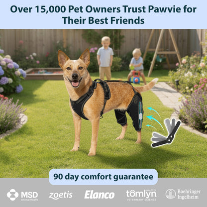 Pawvie™ Orthopedic Dual-Hinge Knee Brace