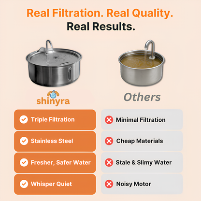 The Doggy Fountain UGC