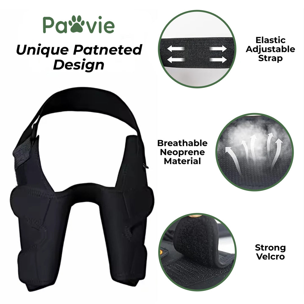 Pawvie™ Dog Front Shoulder/Elbow Support Brace