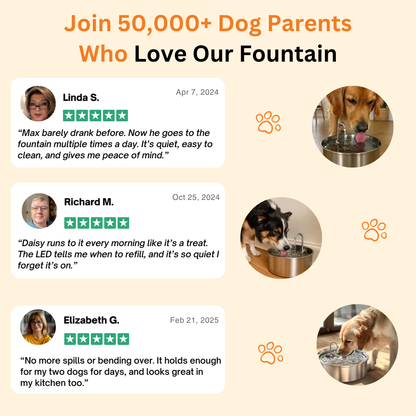 The Doggy Fountain UGC