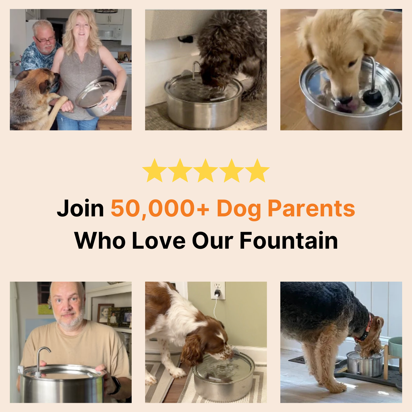 The Doggy Fountain