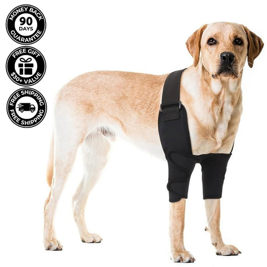 Pawvie™ Dog Front Shoulder/Elbow Support Brace