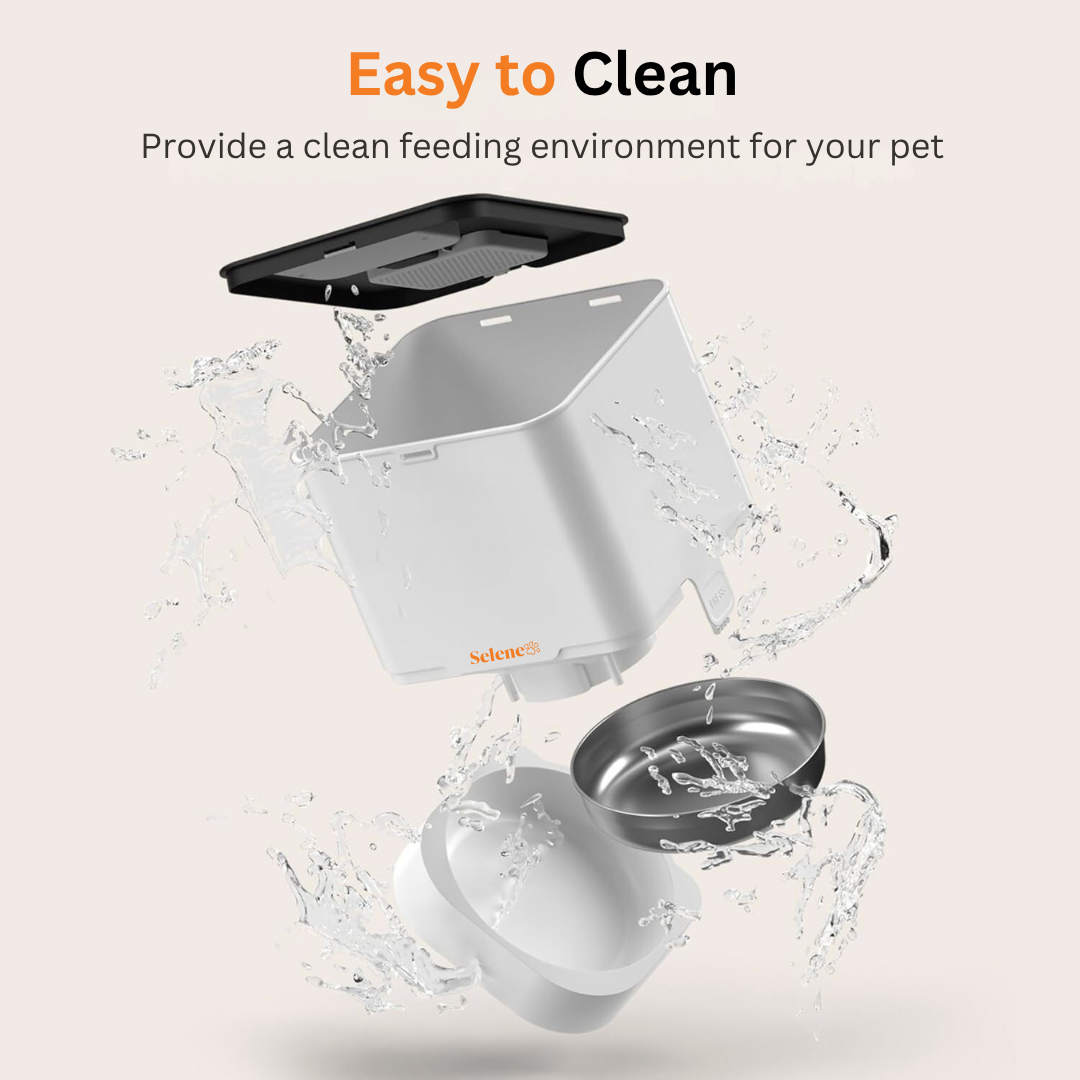 Automatic Doggy Feeder