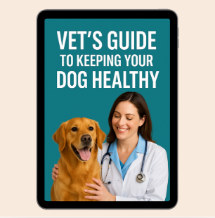 Vet’s Guide to Keeping Your Dog Healthy