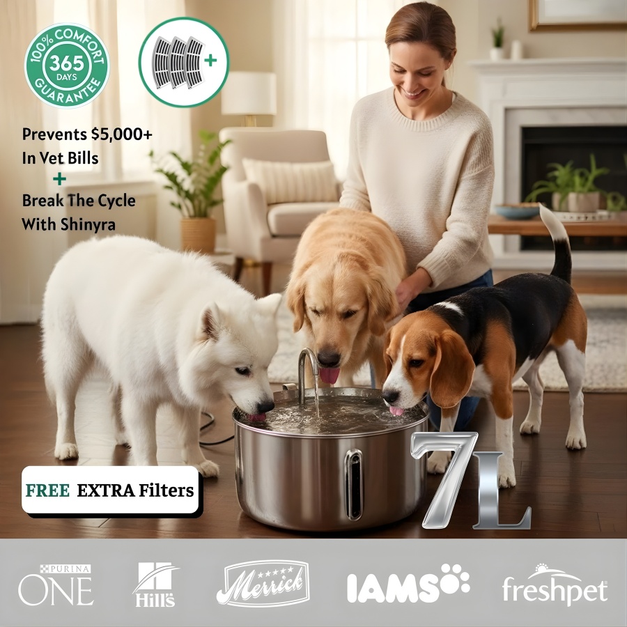 Pawvie™ Edelstahl-Hunde-Trinkbrunnen