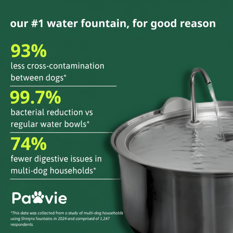 Pawvie™ Edelstahl-Hunde-Trinkbrunnen