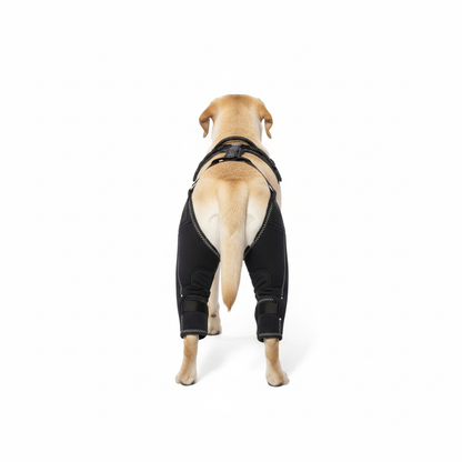 Pawvie™ Orthopedic Dual-Hinge Knee Brace