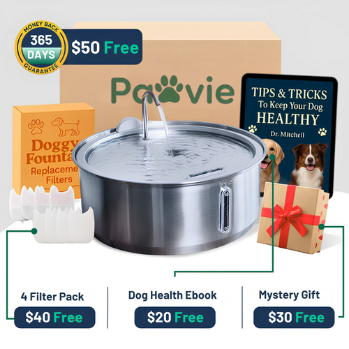 The Doggy Fountain