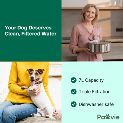 The Doggy Fountain