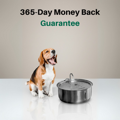 The Doggy Fountain