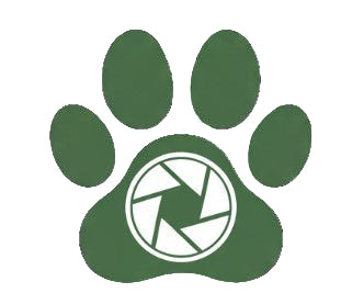 Pawvie