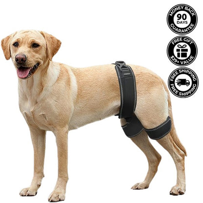 Pawvie™ Hip Brace Belt For Dogs