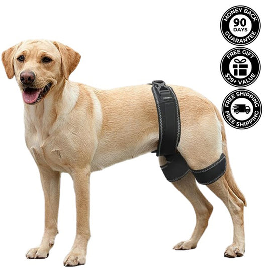 Pawvie™ Hip Brace Belt For Dogs