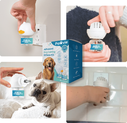 Dogs Calming Diffuser Kit