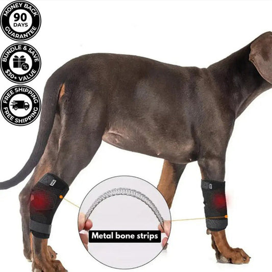 Pawvie™ Hock/Elbow Support Brace