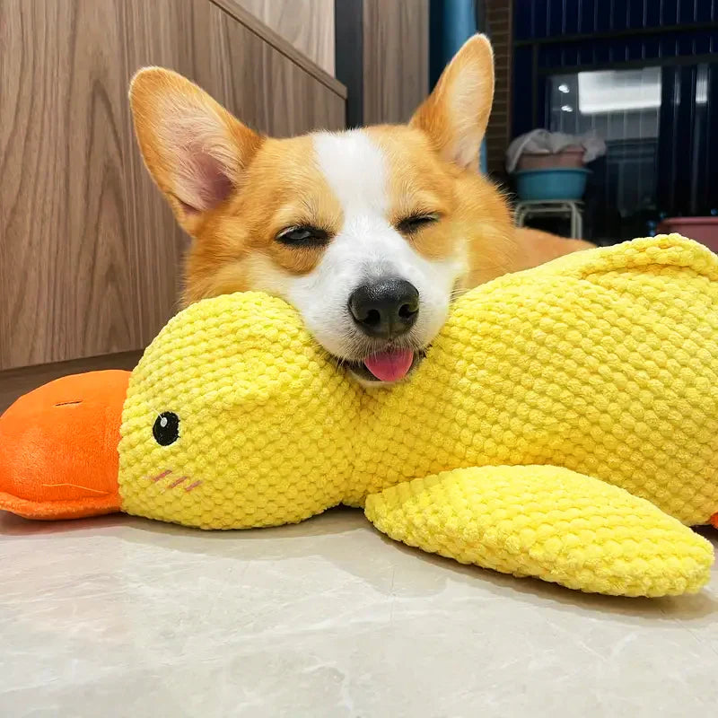 Calming Duck Toy