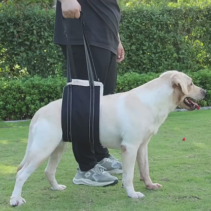 Pawvie™ Dog Lifting Sling for Mobility Support